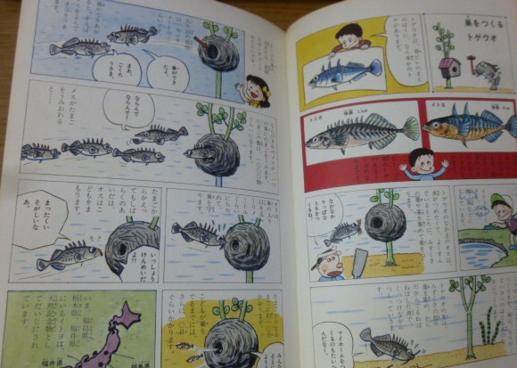 魚 貝のふしぎ なぜなぜ理科学習漫画 ７ 中村守純 監修 西沢まもる漫画 古本 中古本 古書籍の通販は 日本の古本屋 日本の古本屋