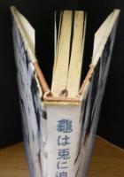 龜は兎に追いつくか