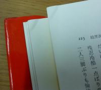 ザ・アウトロー　恐怖の暴力と殺戮の美学