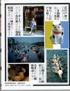 隅田川 : 流れに映る下町の哀歓 ＜TOKYO MOOK＞
