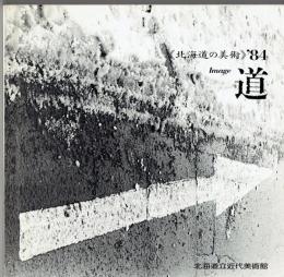 イメージ・道 : 北海道の美術'84