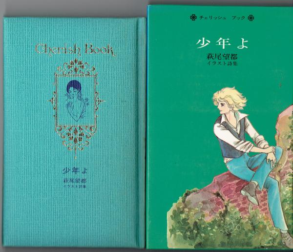 小学館 - 萩尾望都 まとめ売り 作品集 イラスト詩集 少年よ