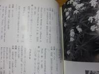北海道の植物 : 道北の植物を中心に