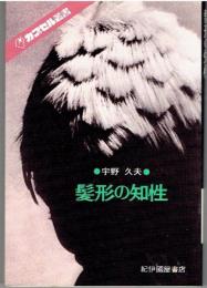 髪形の知性