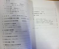 北海道の丸木舟