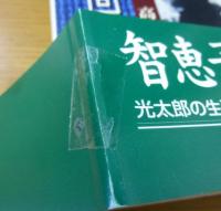 光太郎回想