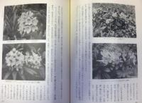 登山と植物