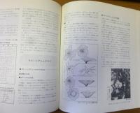 入門シャクナゲ : 品種・栽培・繁殖