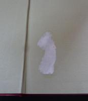 札幌消防百年の歩み