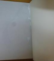 橋をわたると