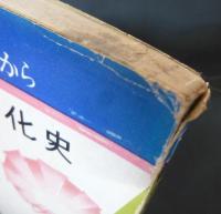 下着の文化史 : おしゃれは下着から