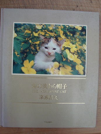 猫の麦わら帽子 深瀬昌久 あづさ書店 古書部 古本 中古本 古書籍の通販は 日本の古本屋 日本の古本屋 猫の麦わら帽子 深瀬昌久 あづさ書店 古書部 古本 中古本 古書籍の通販は 日本の古本屋 日本の古本屋