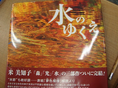水のゆくえ 米美知子写真集 米美知子 古本 中古本 古書籍の通販は 日本の古本屋 日本の古本屋 水のゆくえ 米美知子写真集 米美知子 古本 中古本 古書籍の通販は 日本の古本屋 日本の古本屋