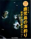 鹿児島の海釣り : 空から見たベストポイント : 最新版