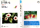 さつまいも : 伝来と文化