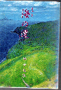海の道 : 随筆集