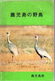 鹿児島の野鳥