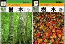 検索入門 樹木 1.2 2冊