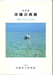 沖縄の貝類 : 特別展 図録