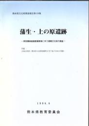 蒲生・上の原遺跡
