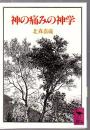 神の痛みの神学 ＜講談社学術文庫＞