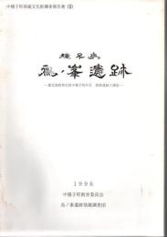 種子島鳥ノ峯遺跡 : 鹿児島県熊毛郡中種子町所在埋葬遺跡の調査