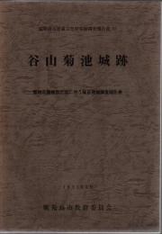 谷山菊池城跡 : 墓地公園建設計画に伴う緊急発掘調査報告書