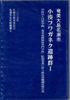 名瀬市文化財叢書 7 小湊フワガネク遺跡群 1 + 名瀬市文化財叢書 8 小湊フワガネク遺跡 総括報告書 + 名瀬市文化財叢書 4 小湊フワガネク遺跡群遺跡範囲確認発掘調査報告書 合計3冊