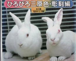 ひろびろ三原色・彫刻編