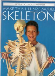 Make This Life-Size Model Skeleton (Cut-Out Models)