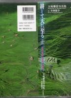耕して天に至る : 中国・雲南世界一の棚田