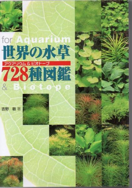 世界の水草728種図鑑 アクアリウム ビオトープ 吉野 敏 古書 リゼット 古本 中古本 古書籍の通販は 日本の古本屋 日本の古本屋