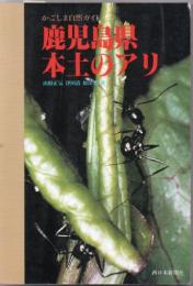 鹿児島県本土のアリ
