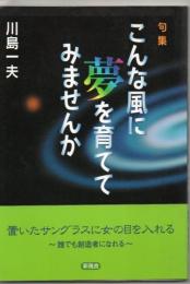 こんな風に夢を育ててみませんか : 句集