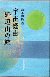 宇宙経由野辺山の旅