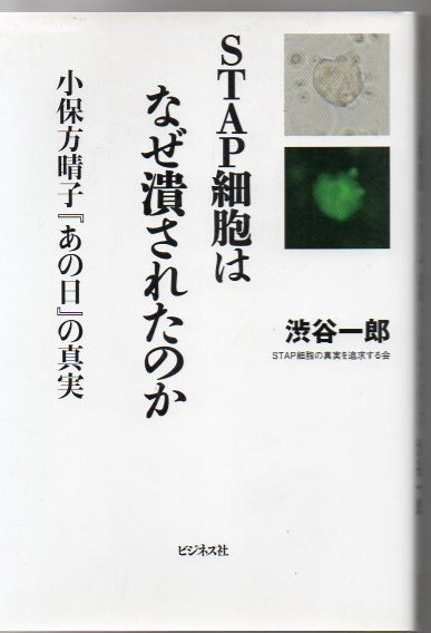 Stap細胞はなぜ潰されたのか 渋谷一郎 著 古書 リゼット 古本 中古本 古書籍の通販は 日本の古本屋 日本の古本屋