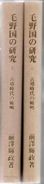 毛野国の研究 古墳時代の解明 上下2冊