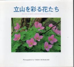 立山を彩る花たち