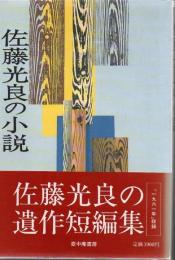 佐藤光良の小説