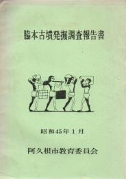 脇本古墳発掘調査報告書
