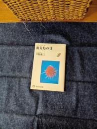 鹿児島の貝