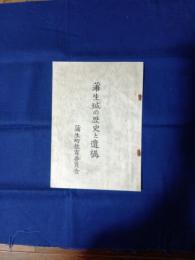 蒲生城の歴史と遺構