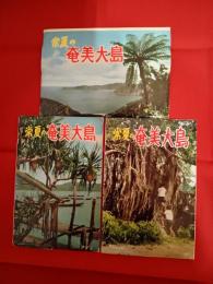 絵はがき　常夏の奄美大島　計22枚