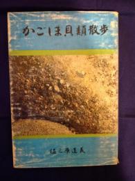かごしま貝類散歩