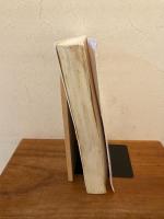 相似象学会誌 相似象 第10号 1982年