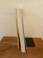 相似象学会誌 相似象 第12号 1995年