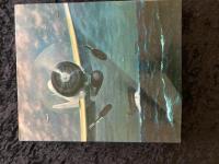 日本海軍航空隊 : 写真図説