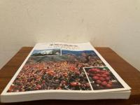 ひと目でわかる果樹の病害虫（ナシ・ブドウ・カキ・クリ・イチジク）改定版