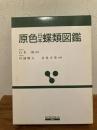 原色日本蝶類図鑑 ＜保育社の原色図鑑 1＞ 全改訂新版.