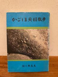 かごしま貝類散歩